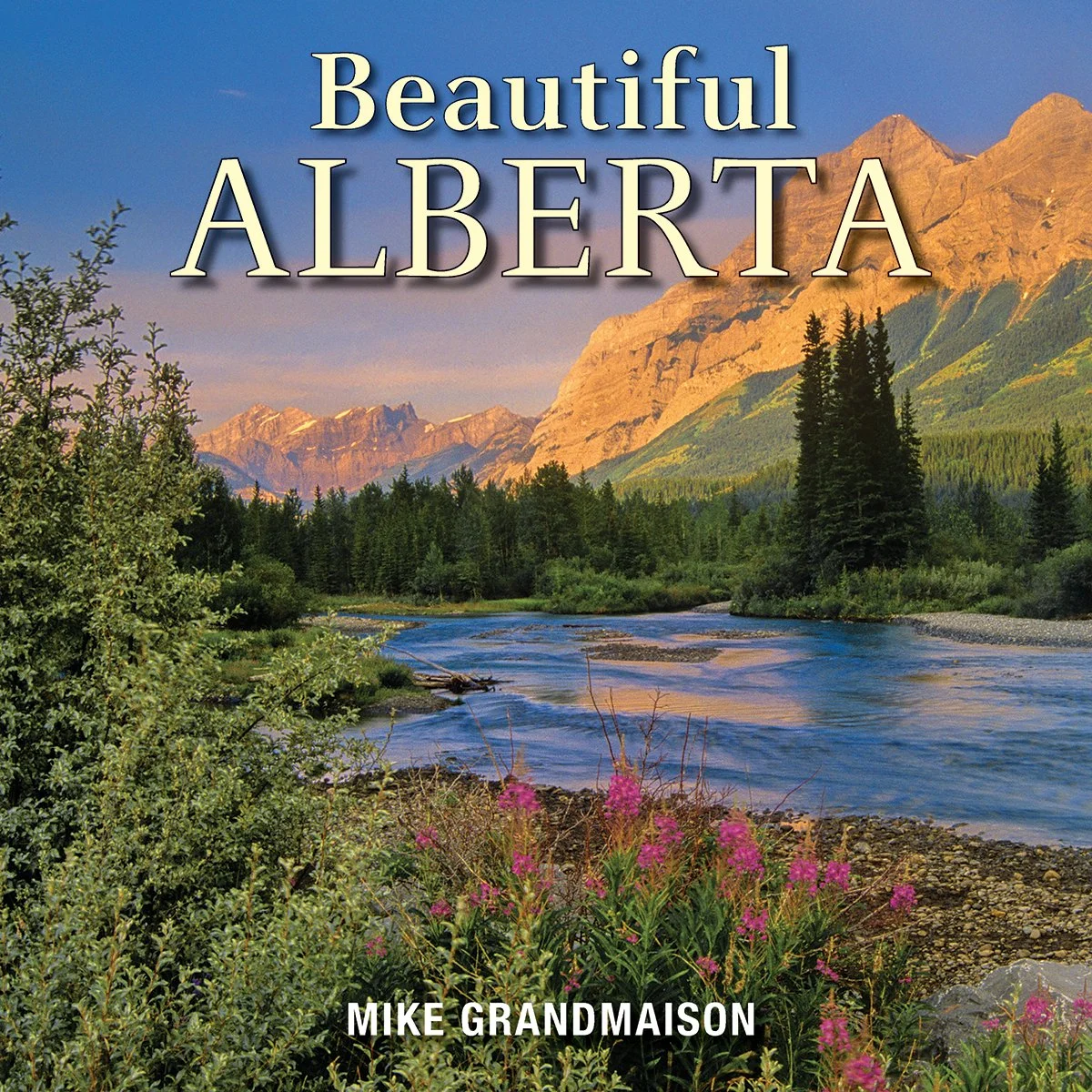 Books and More — The Canadian Gallery